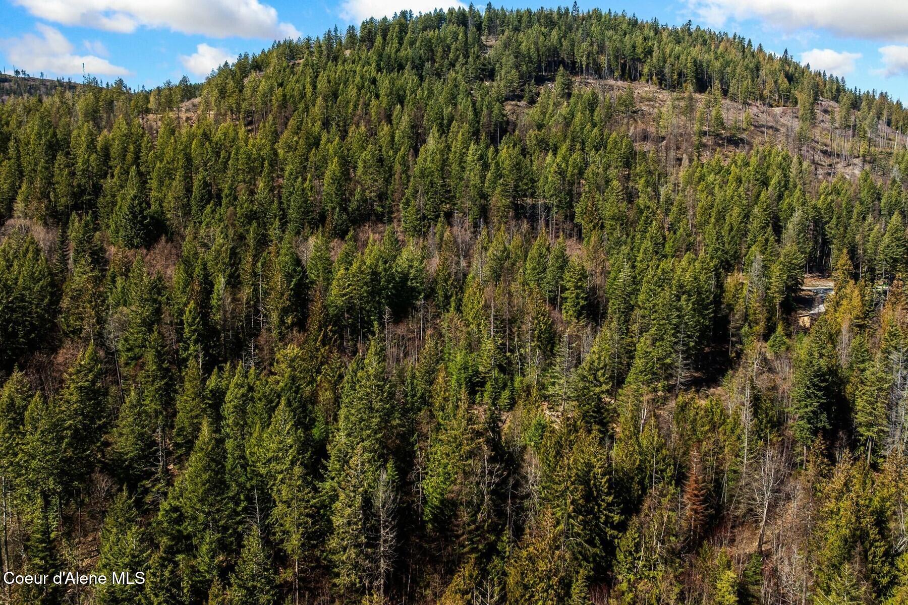 Nna Less Traveled Road Sagle, ID 83860 - Photo 12 of 12 12