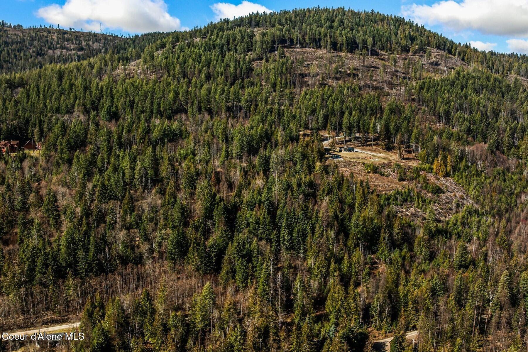 Nna Less Traveled Road Sagle, ID 83860 - Photo 9 of 12 09