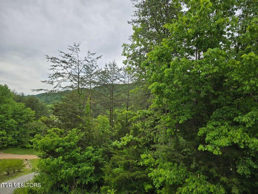 1432 Upper Caney Valley Road Tazewell, TN 37879 - Photo 39 of 60 39