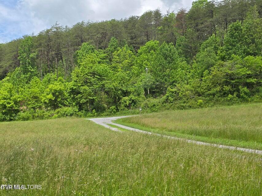 1432 Upper Caney Valley Road Tazewell, TN 37879 - Photo 41 of 60 41