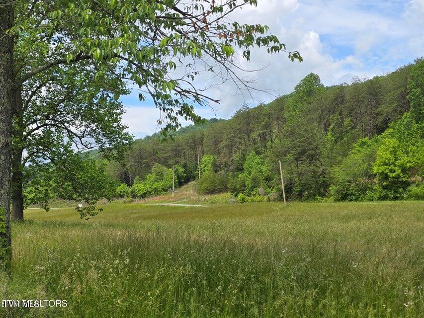 1432 Upper Caney Valley Road Tazewell, TN 37879 - Photo 42 of 60 42