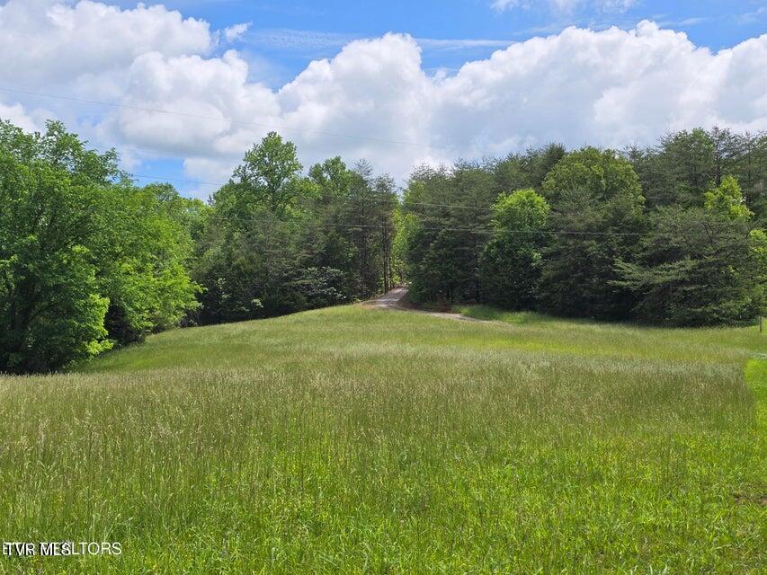 1432 Upper Caney Valley Road Tazewell, TN 37879 - Photo 43 of 60 43