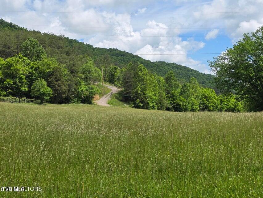 1432 Upper Caney Valley Road Tazewell, TN 37879 - Photo 44 of 60 44
