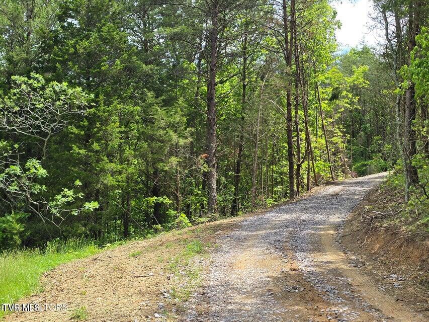 1432 Upper Caney Valley Road Tazewell, TN 37879 - Photo 54 of 60 54