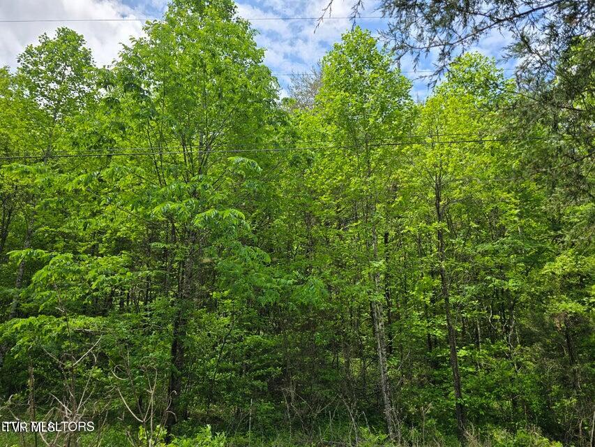 1432 Upper Caney Valley Road Tazewell, TN 37879 - Photo 57 of 60 57