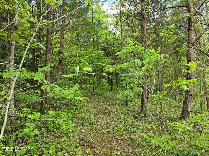 1432 Upper Caney Valley Road Tazewell, TN 37879 - Photo 59 of 60 59