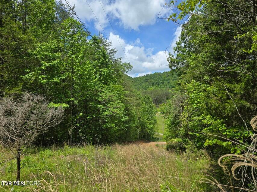 1432 Upper Caney Valley Road Tazewell, TN 37879 - Photo 60 of 60 60