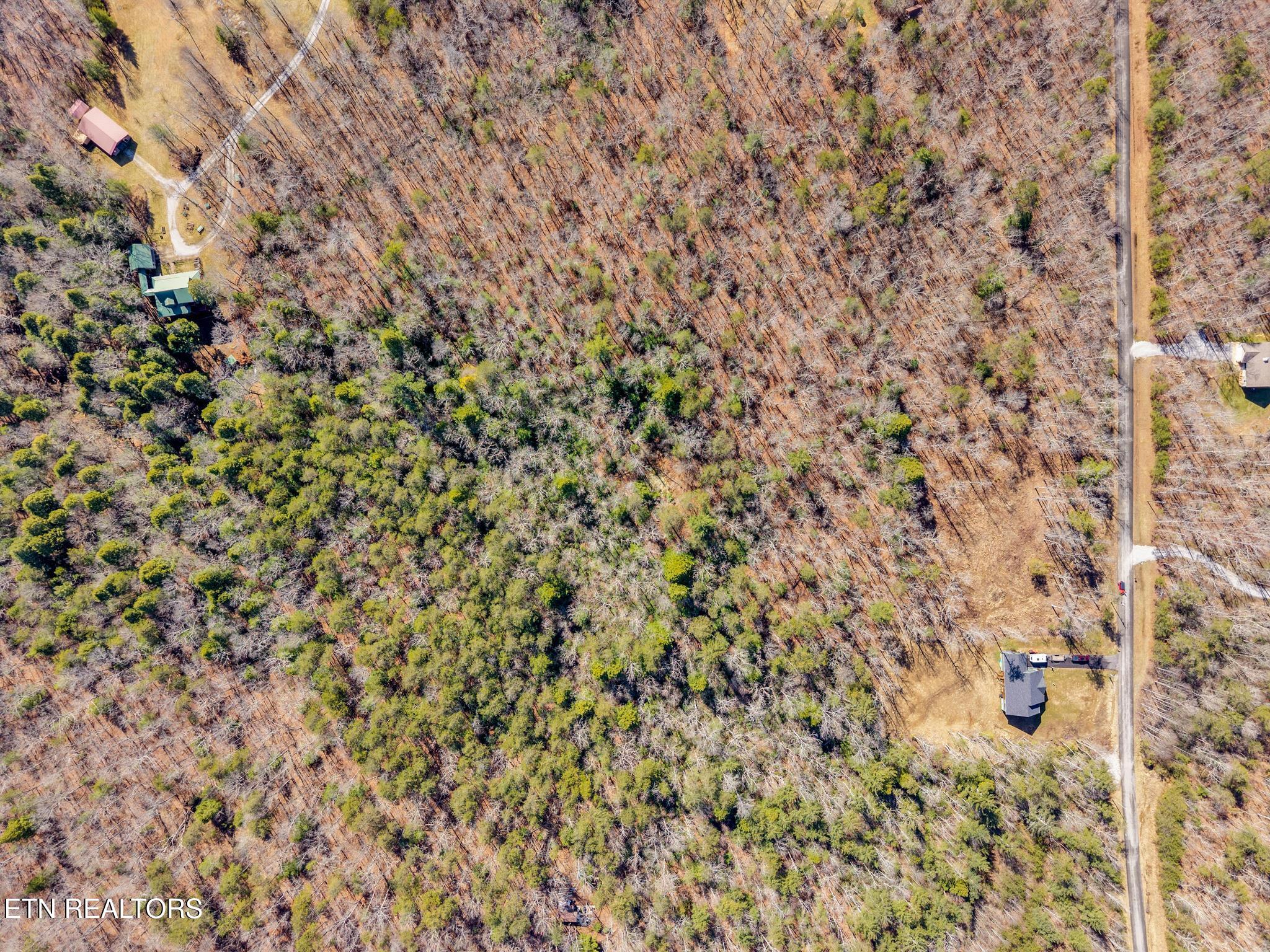 911 Spearhead Circle Clarkrange, TN 38553 - Photo 14 of 15 911 Spearhead-7