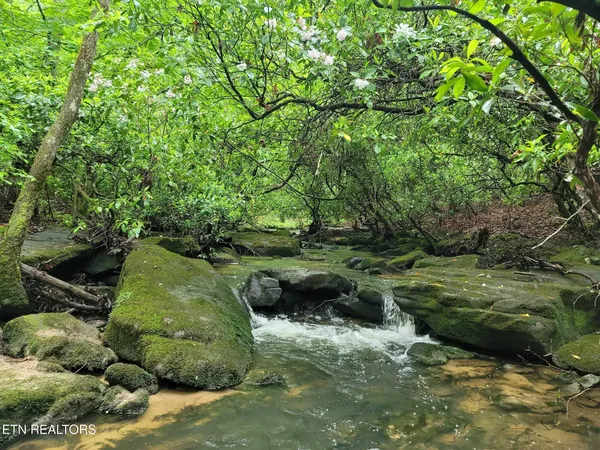 $107,000 | 911 Spearhead Circle, Clarkrange, TN 38553