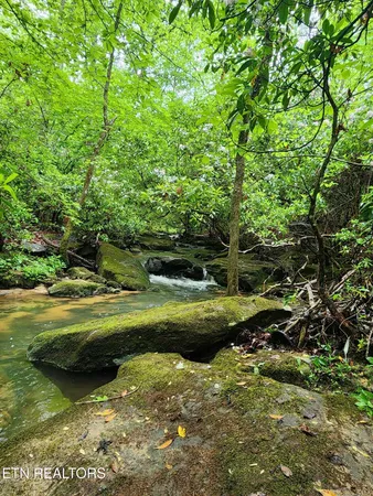 $107,000 | 911 Spearhead Circle, Clarkrange, TN 38553