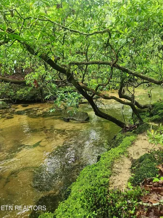 $107,000 | 911 Spearhead Circle, Clarkrange, TN 38553