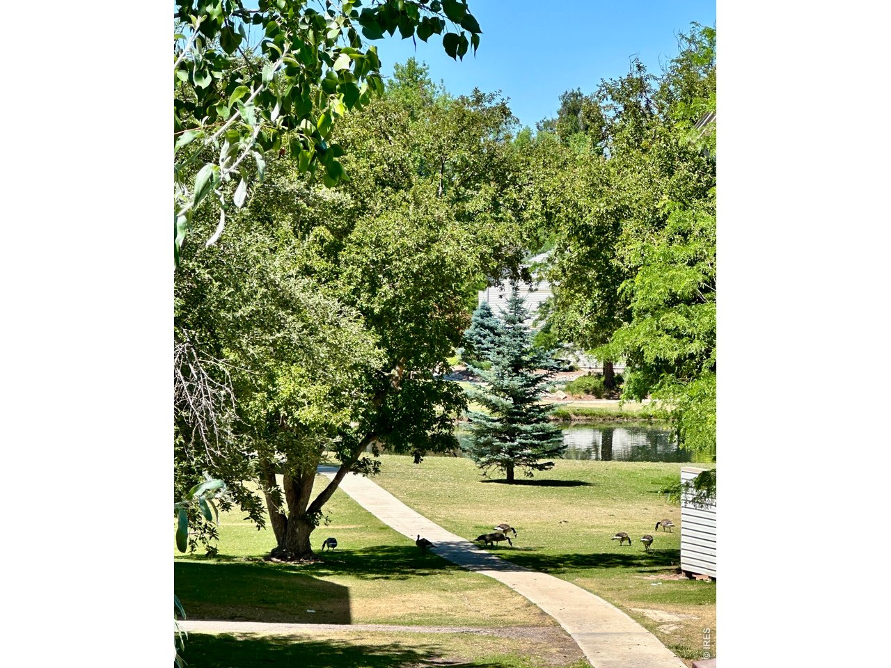 1705 Heatheridge Road, Unit 205 Fort Collins, CO 80526 - Photo 13 of 17