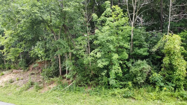 $99,900 | Lt3 Rock River Paradise, Watertown, WI 53094