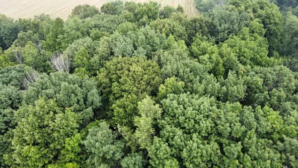 $99,900 | Lt3 Rock River Paradise, Watertown, WI 53094