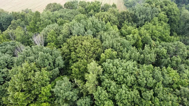 $99,900 | Lt3 Rock River Paradise, Watertown, WI 53094