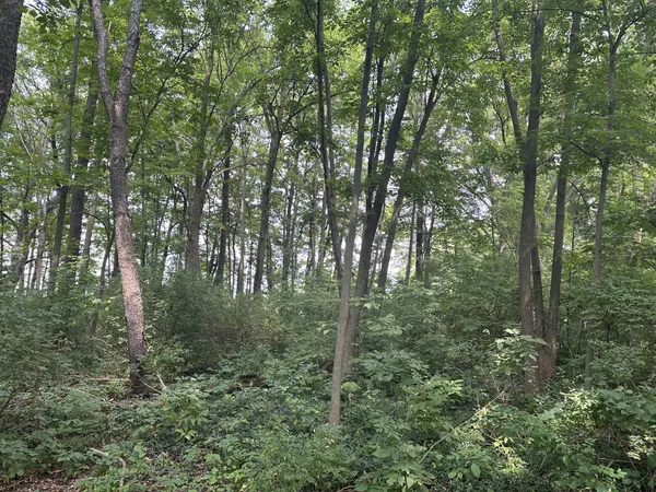 $99,900 | Lt3 Rock River Paradise, Watertown, WI 53094