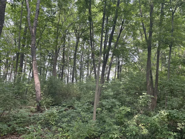 $99,900 | Lt3 Rock River Paradise, Watertown, WI 53094