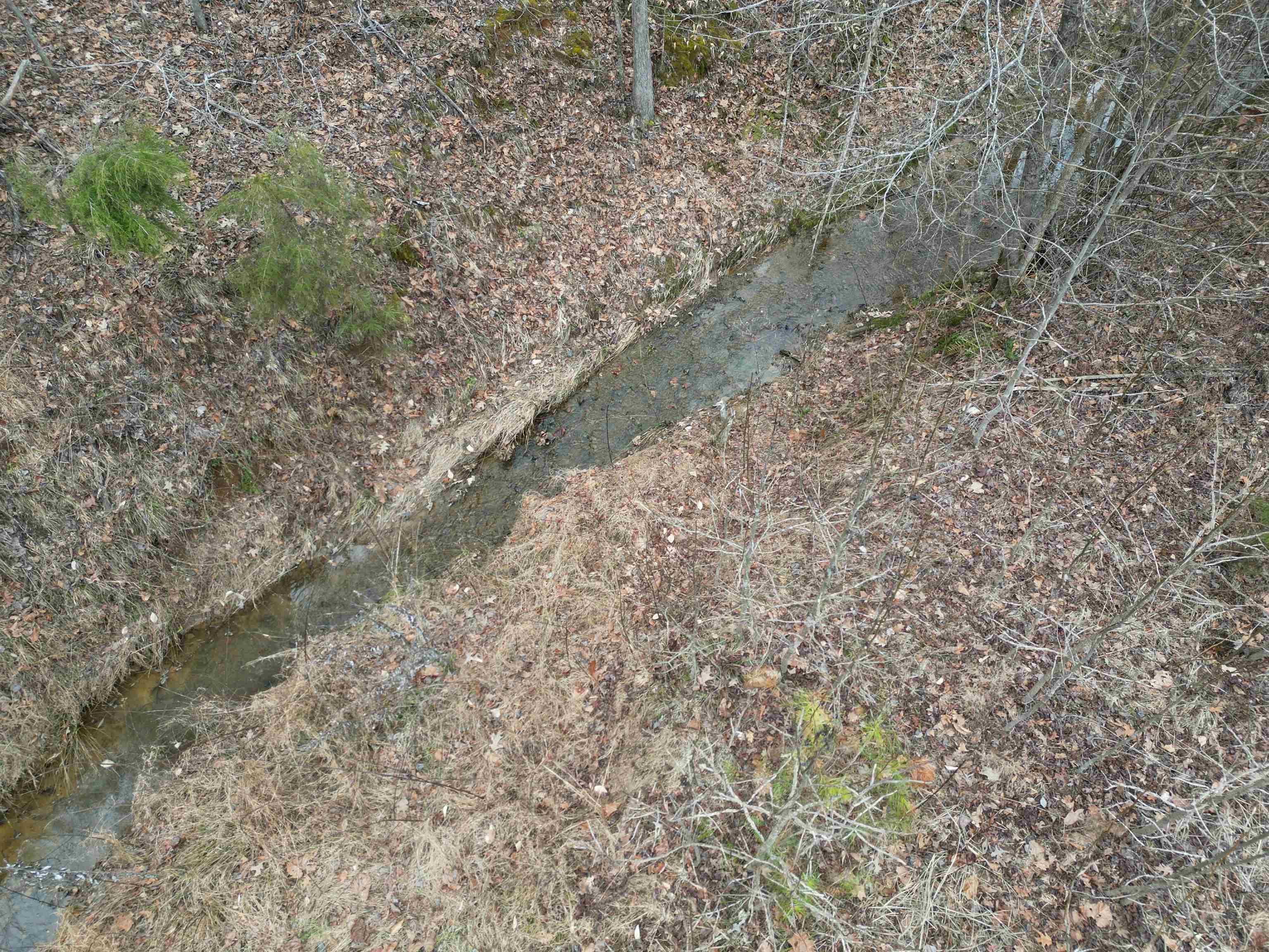 1688 Hardin Graveyard Road Adamsville, TN 38310 - Photo 33 of 40 a view of a forest with trees