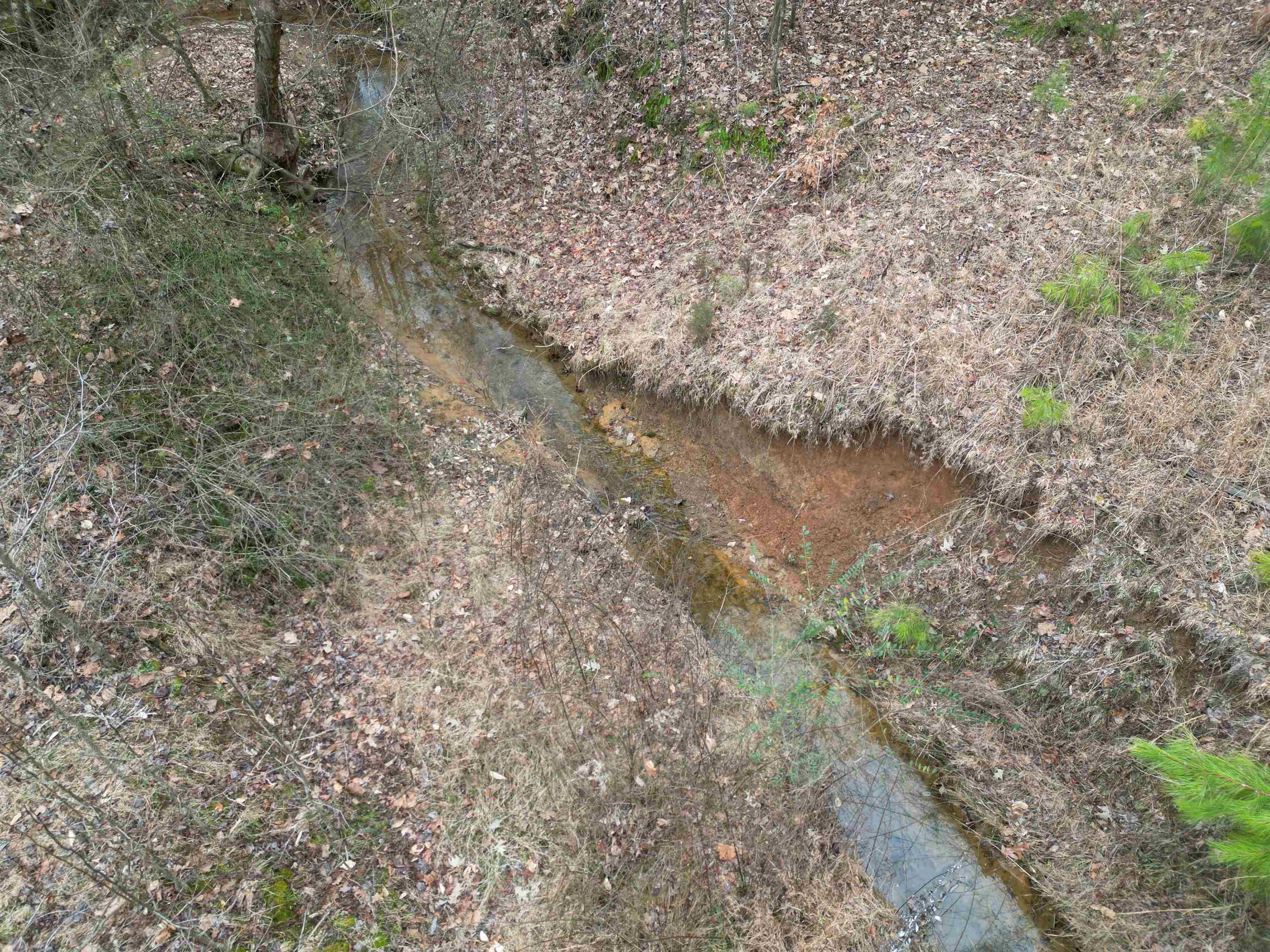 1688 Hardin Graveyard Road Adamsville, TN 38310 - Photo 34 of 40 a view of a yard with a tree