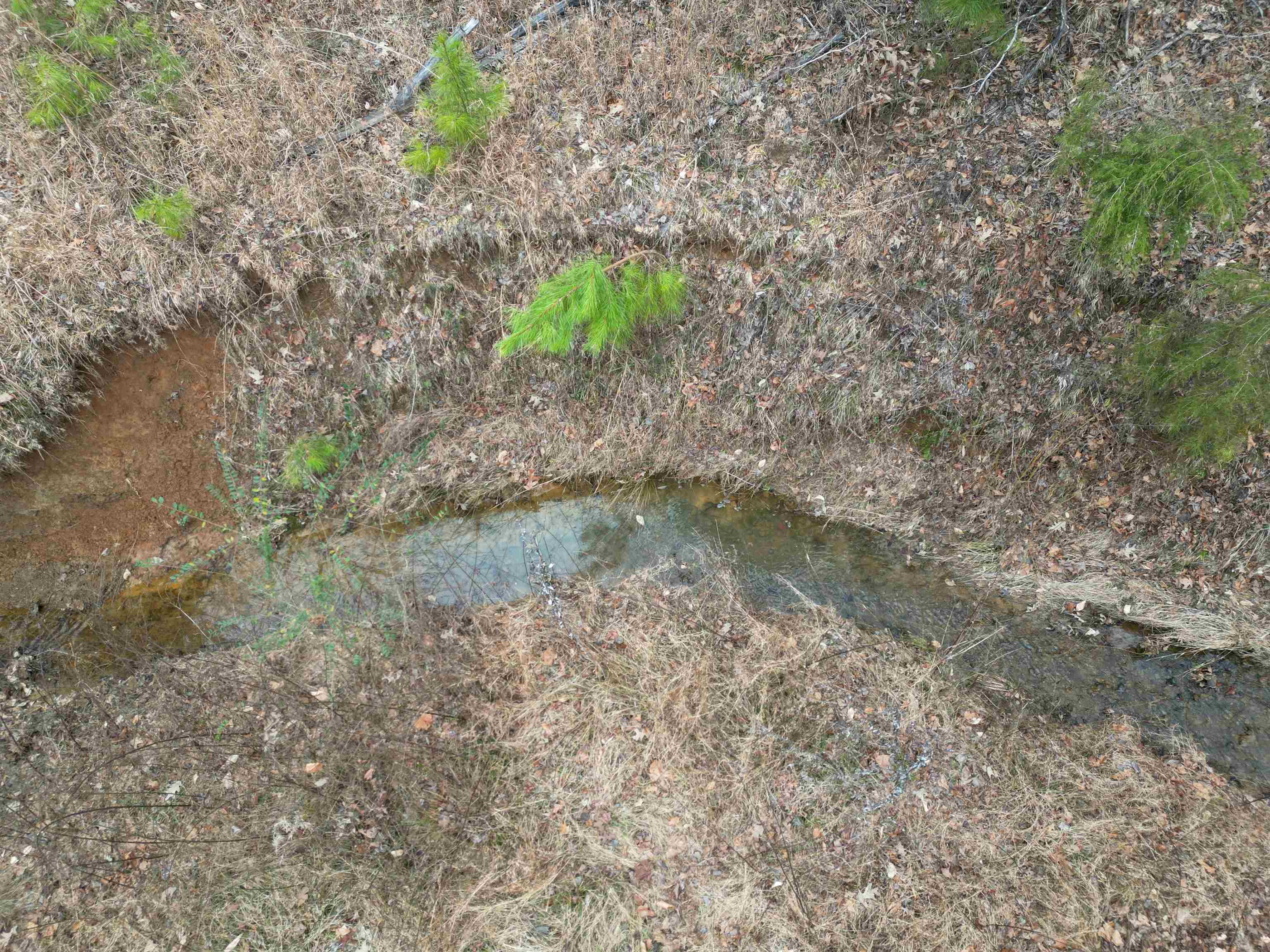 1688 Hardin Graveyard Road Adamsville, TN 38310 - Photo 4 of 40 a view of a lake with a tree