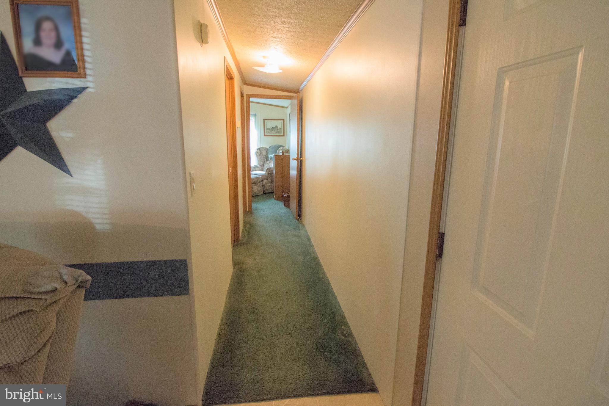 28591 Polks Road Princess Anne, MD 21853 - Photo 26 of 36