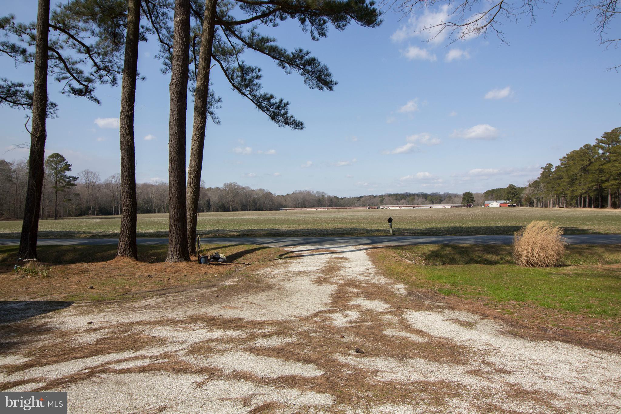 28591 Polks Road Princess Anne, MD 21853 - Photo 36 of 36