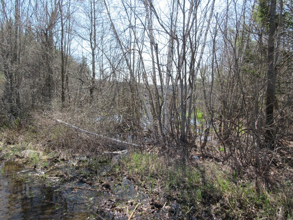 30 Ladd Road Sturbridge, MA 01566 - Photo 27 of 30 Gallery Image 27