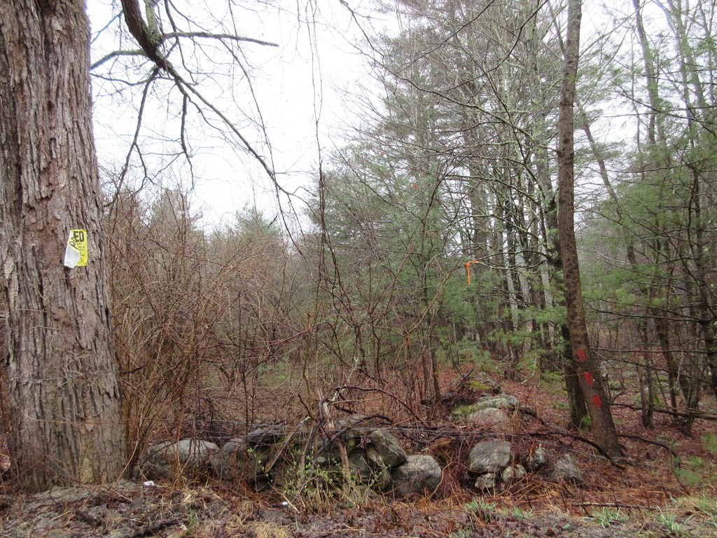 30 Ladd Road Sturbridge, MA 01566 - Photo 30 of 30 Gallery Image 30