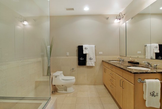 55 East Erie Street, Unit 2202 Chicago, IL 60611 - Photo 12 of 19
