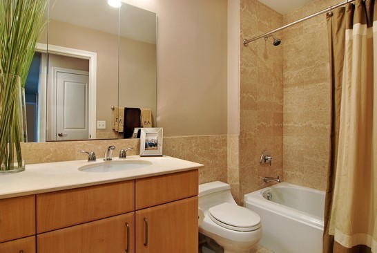55 East Erie Street, Unit 2202 Chicago, IL 60611 - Photo 15 of 19
