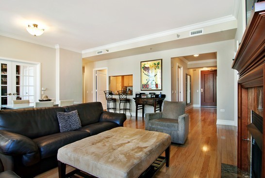 55 East Erie Street, Unit 2202 Chicago, IL 60611 - Photo 3 of 19