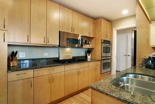 55 East Erie Street, Unit 2202 Chicago, IL 60611 - Photo 8 of 19