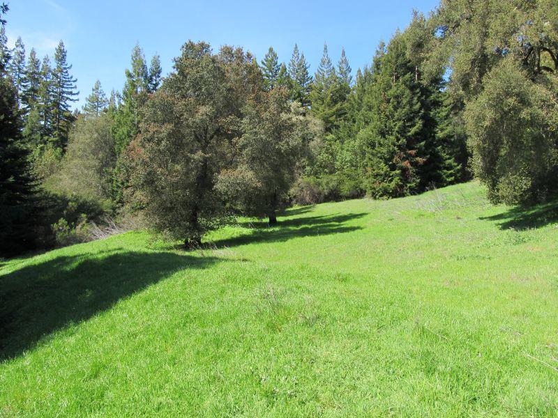 0 Two Two Bar Road Boulder Creek, CA 95006 - Photo 17 of 70 Gallery Image 17