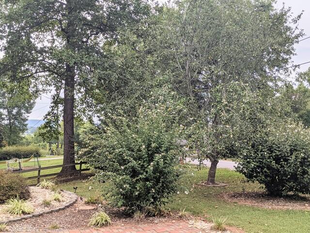 195 Sunrise Road Rocky Mount, VA 24151 - Photo 13 of 13 2