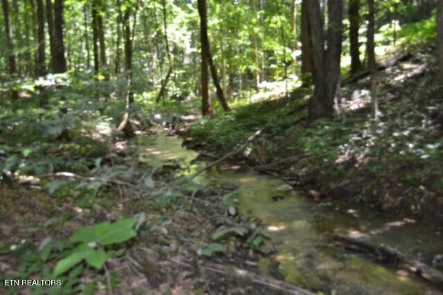2390 Pea Ridge Fire Tower Road Celina, TN 38551 - Photo 29 of 58 DSC_0114