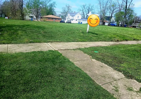 a view of a play ground and large trees