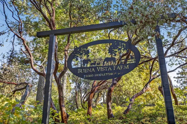 a view of a street view