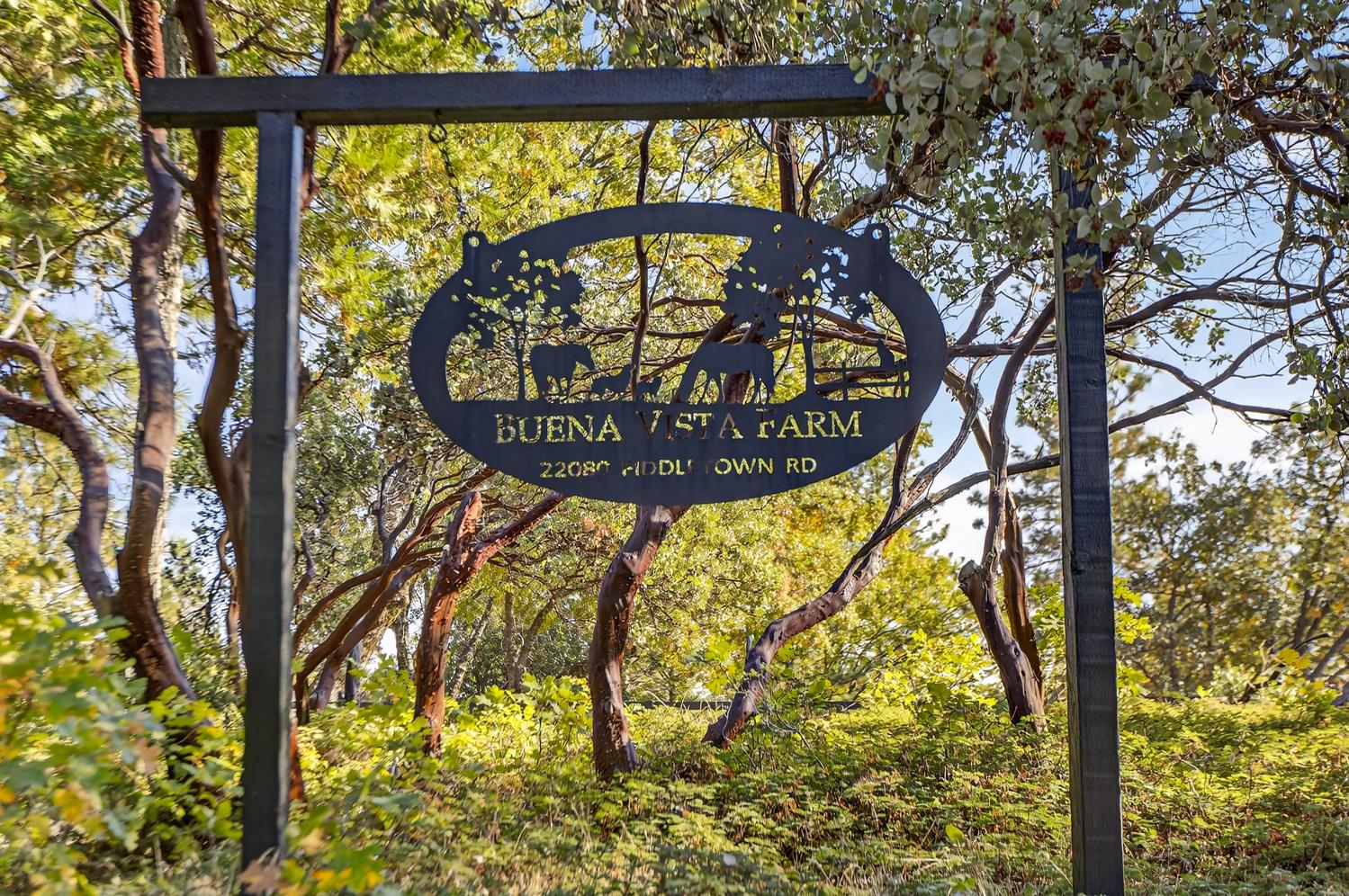 22080 Fiddletown Road Volcano, CA 95689 - Photo 2 of 94