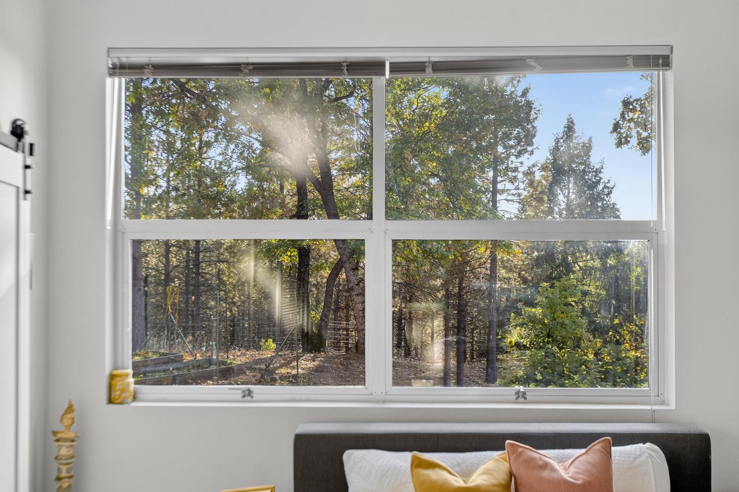 22080 Fiddletown Road Volcano, CA 95689 - Photo 30 of 94