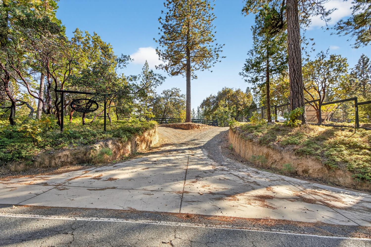 22080 Fiddletown Road Volcano, CA 95689 - Photo 3 of 94 a view of a street view
