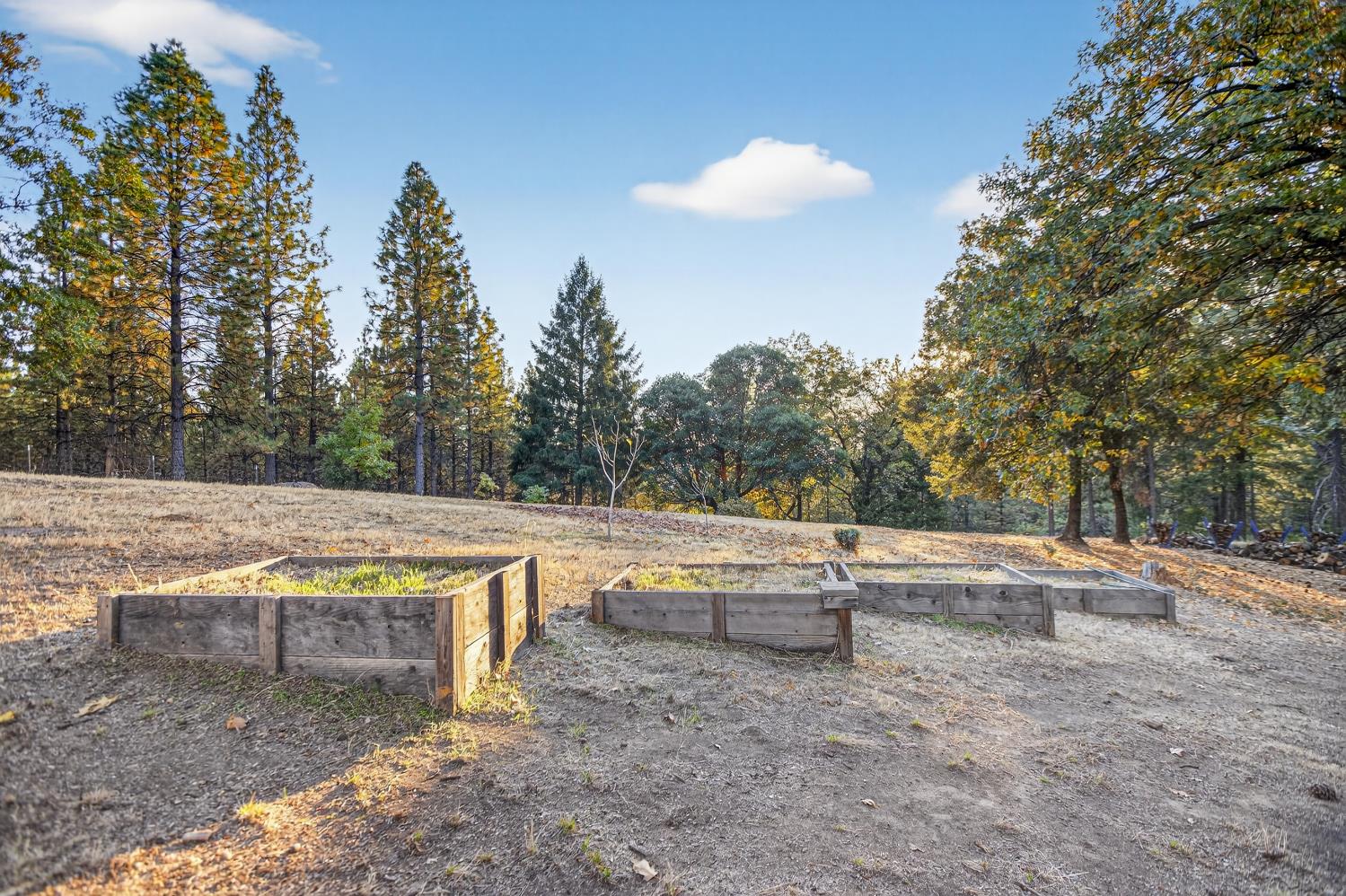 22080 Fiddletown Road Volcano, CA 95689 - Photo 52 of 94