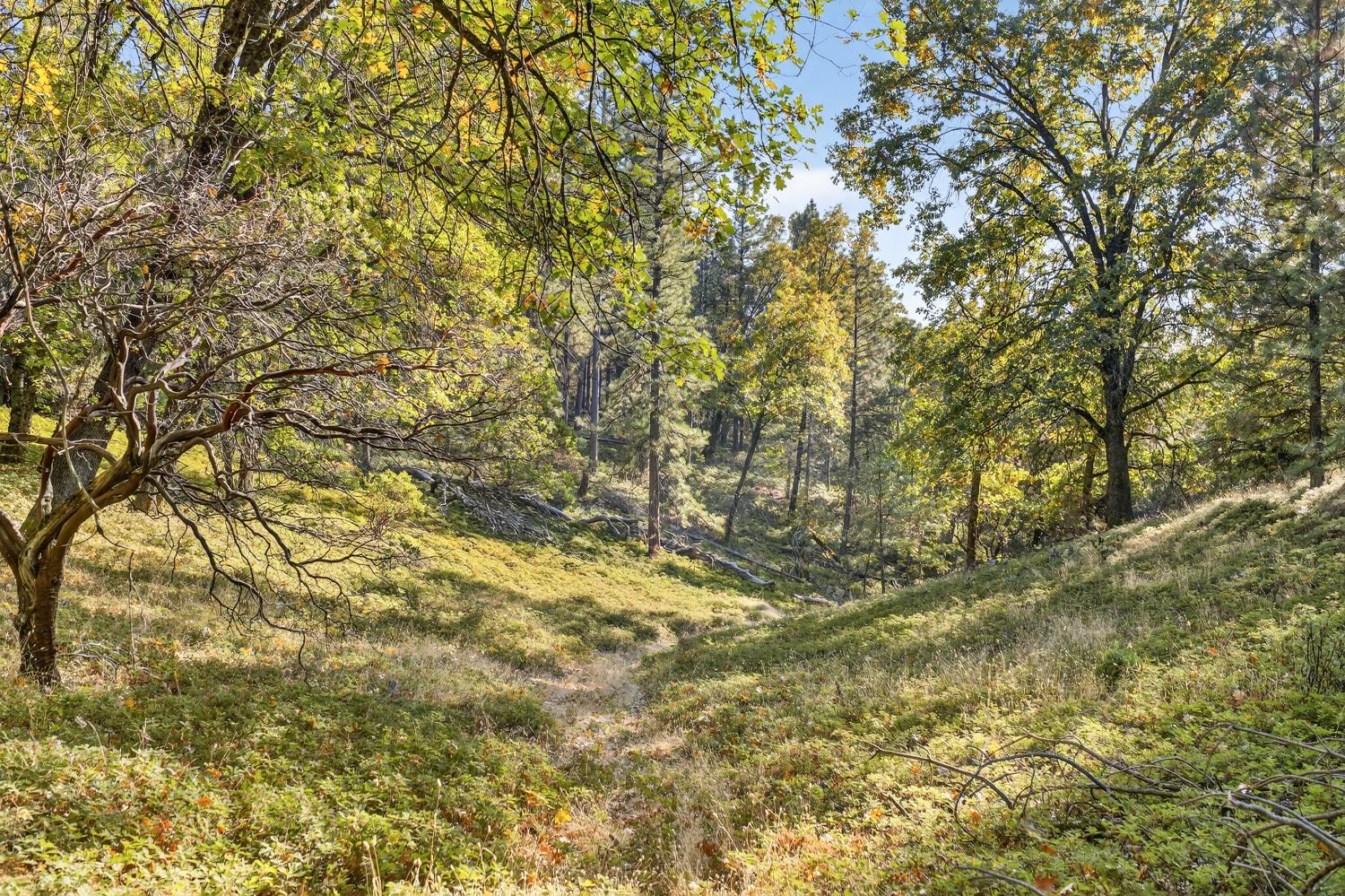 22080 Fiddletown Road Volcano, CA 95689 - Photo 64 of 94