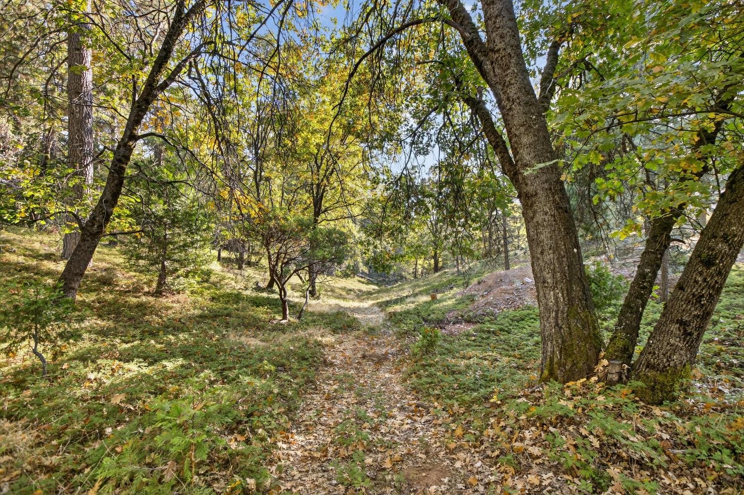 22080 Fiddletown Road Volcano, CA 95689 - Photo 81 of 94