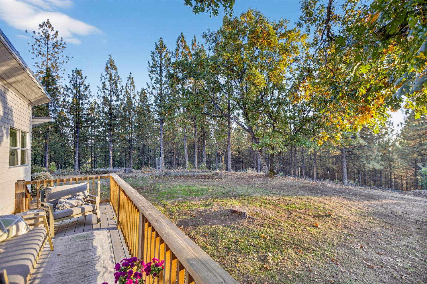 22080 Fiddletown Road Volcano, CA 95689 - Photo 93 of 94 a view of a backyard with swimming pool