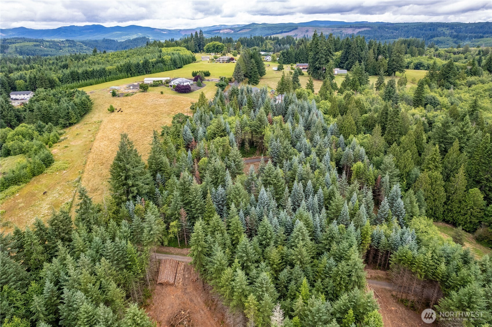0 Bunker Hill Road, Unit B Longview, WA 98632 - Photo 11 of 13 Gallery Image 11