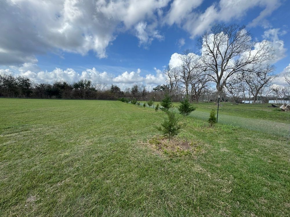 4527 Star Lake Lane Rosharon, TX 77583 - Photo 2 of 8 a view of outdoor space and yard