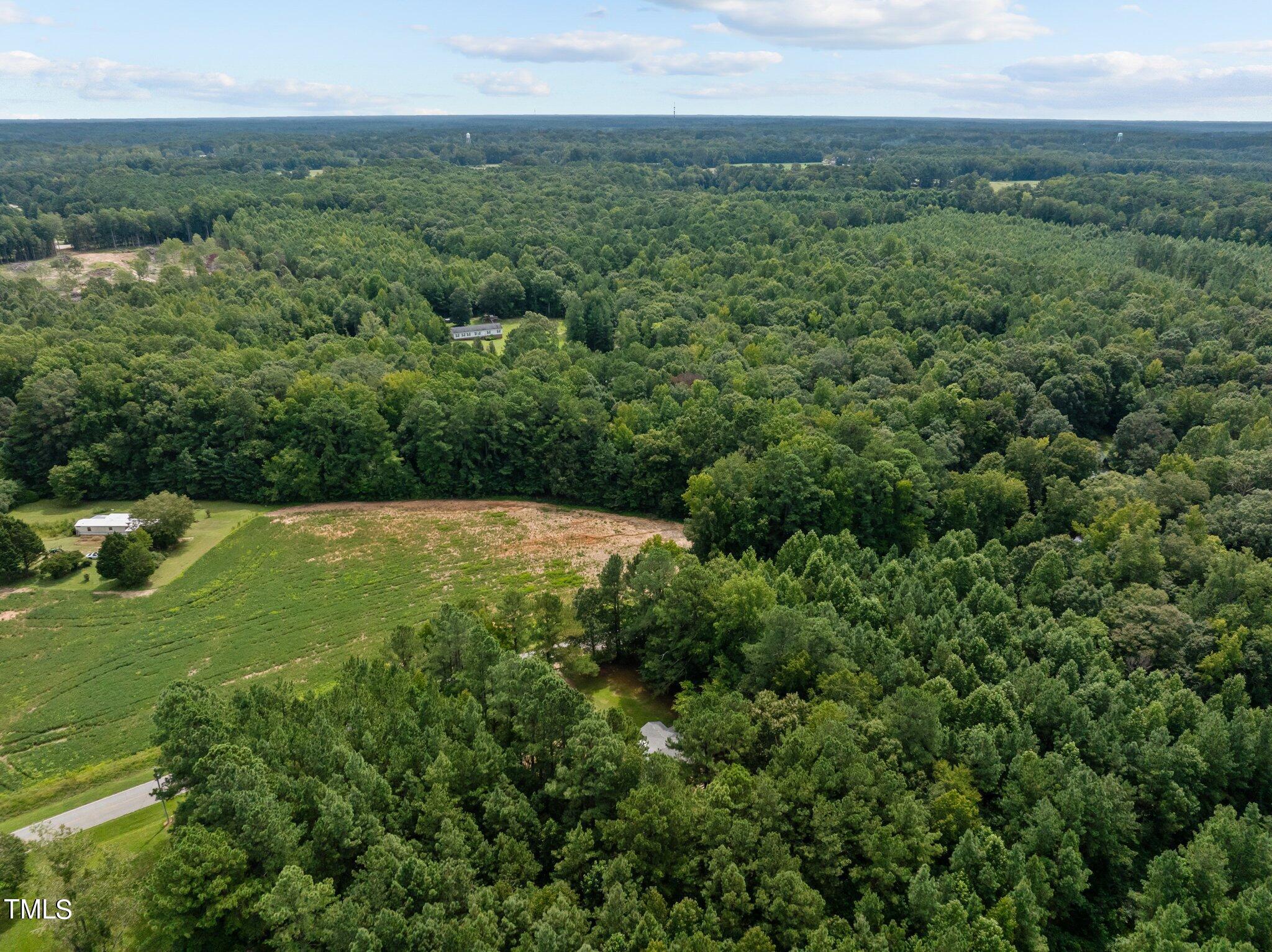 1726 Bowden Road Spring Hope, NC 27882 - Photo 38 of 39 38-web-or-mls-DJI_0694