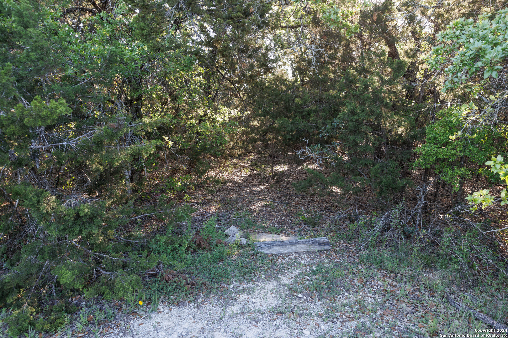 1058 Indian Hollow Spring Branch, TX 78070 - Photo 14 of 18