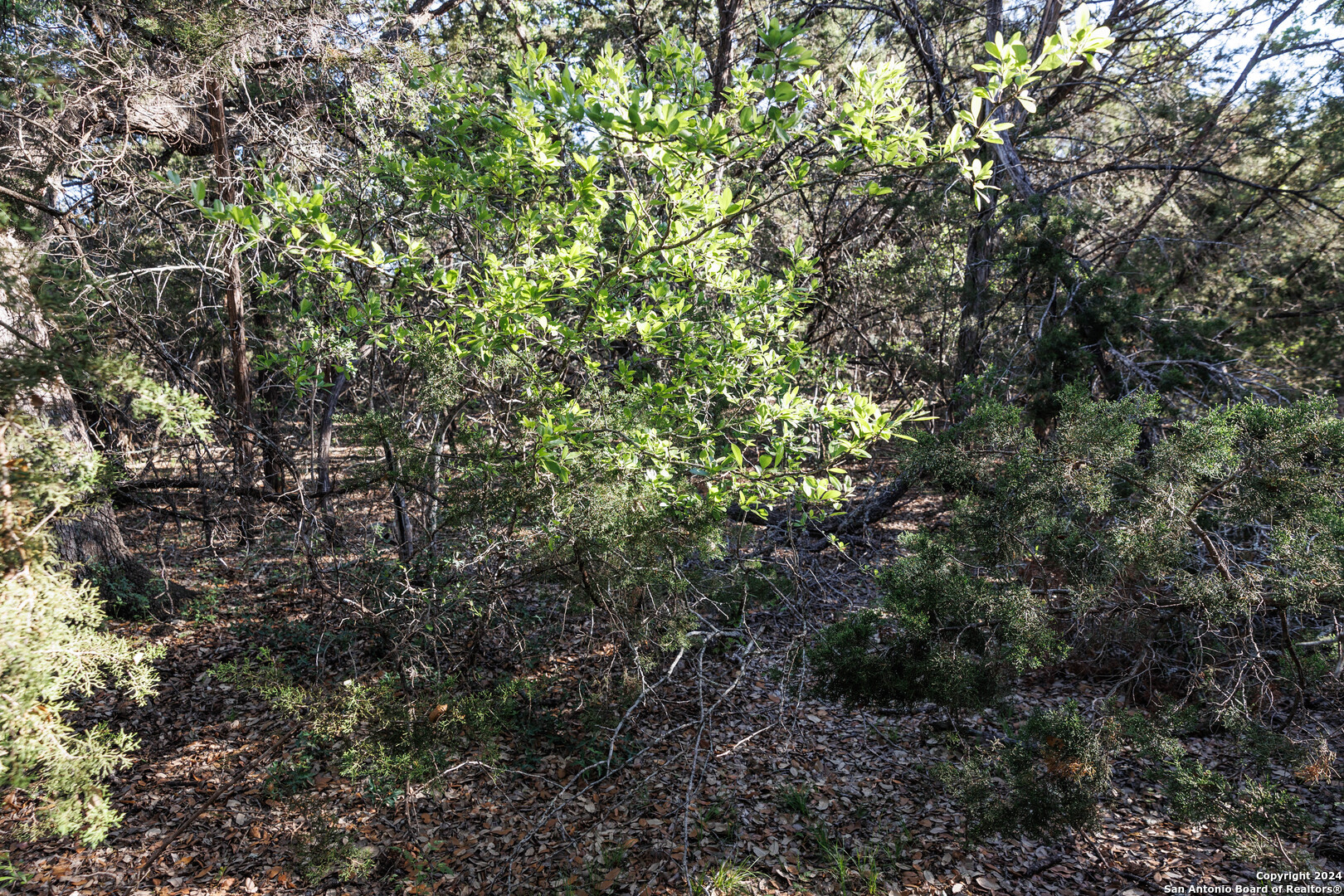 1058 Indian Hollow Spring Branch, TX 78070 - Photo 15 of 18