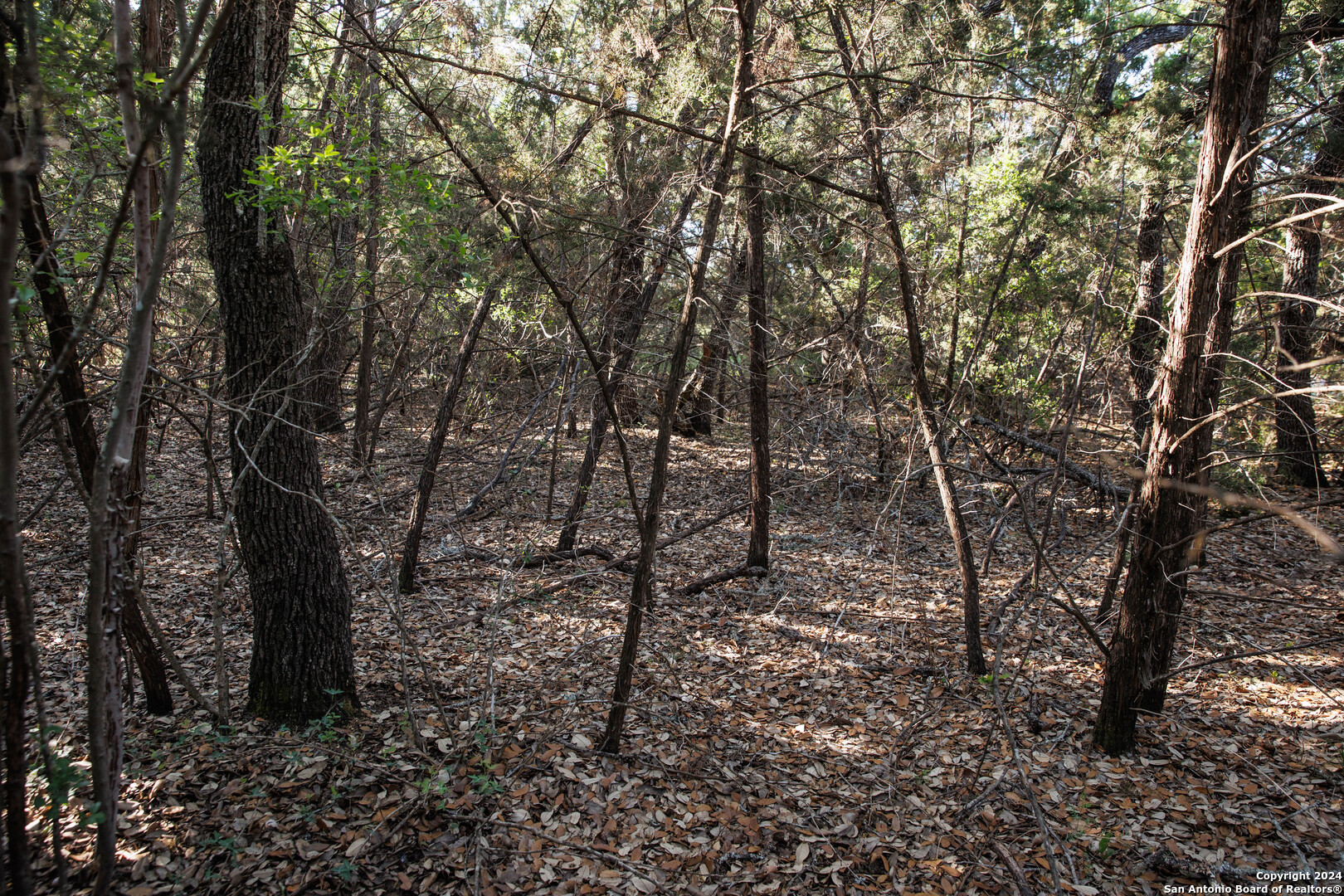 1058 Indian Hollow Spring Branch, TX 78070 - Photo 3 of 18